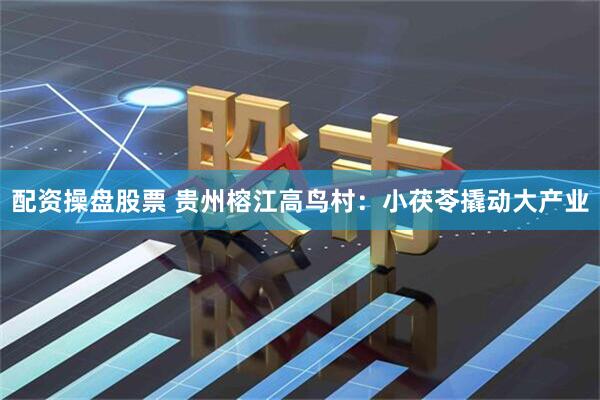 配资操盘股票 贵州榕江高鸟村：小茯苓撬动大产业